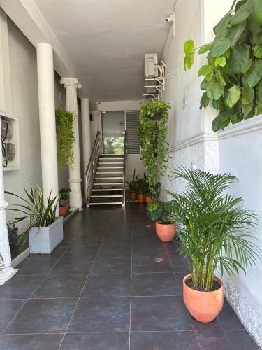 Hermoso Apartamento En Manga