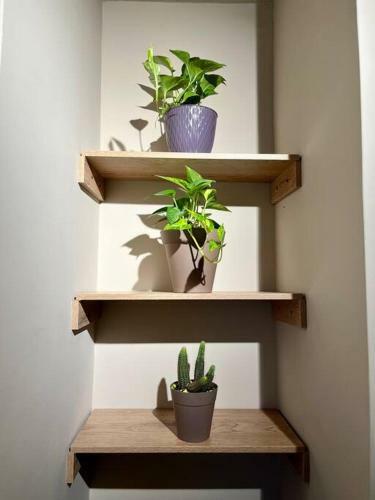 Apartamento Lovely Studio Near Old Town