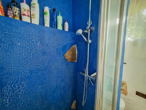 Apartamento El Alpendre De La Vega