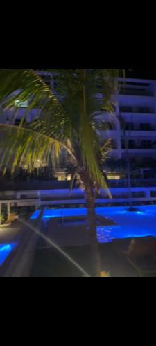 Apartamento Apto Morroszoe 217a