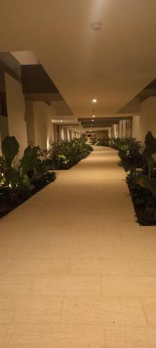 Apartamento Apto Morroszoe 217a