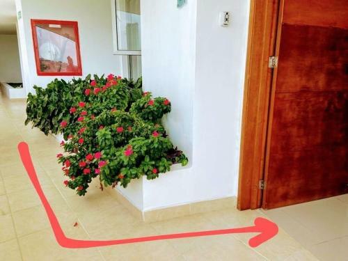 Apartamento Frente Al Mar Home Office 7b