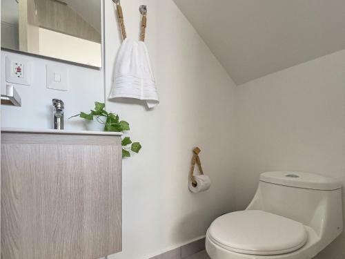 Apartamento Bocagrande Loft - Livin Colombia