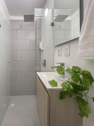 Apartamento Bocagrande Loft - Livin Colombia