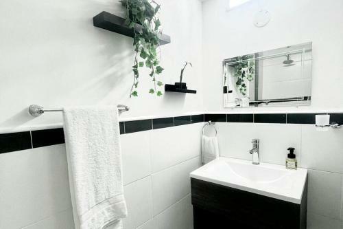 Apartamento Edificio Los Delfines Bocagrande , Ubicaci�n Y Precio