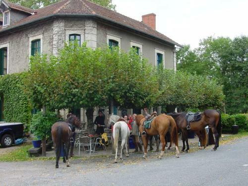 Hotel Auberge Magnette