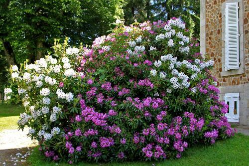 Hotel Ch�teau Le Mialaret