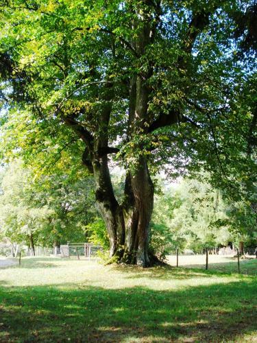 Hotel Ch�teau Le Mialaret