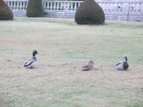 Hotel Hostellerie Du Ch�teau Des Monthairons