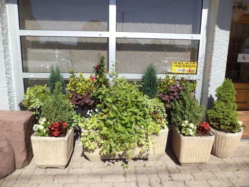 Hotel Au Logis Des Ours Belfort Nord