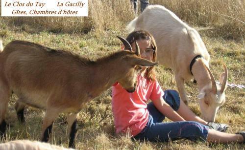 Bed & Breakfast Le Clos Du Tay