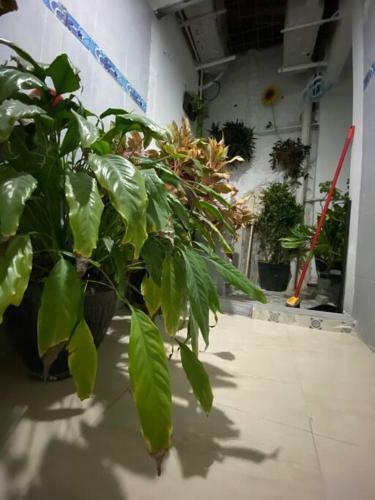 Hermoso Apartamento En Zona Nort