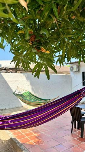 Hotel Marbar Cartagena Hostel