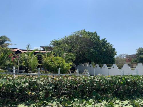 Agroturismo Caba�a Roman