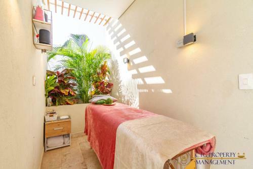 Apartamento Con Jacuzzi Privado - Dominique Cartagena