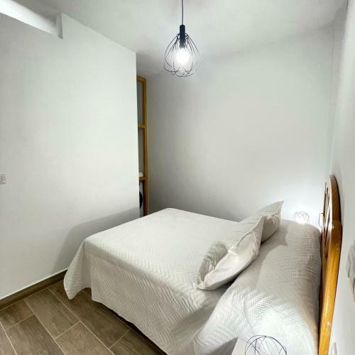 Apartamento Bajo Derecha El Wiro