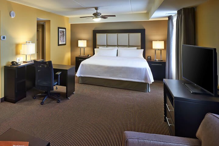 Hotel Homewood Suites By Hilton Hamilton