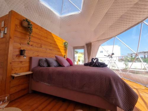 Domes1 Tenerife, Lujo Con El Encanto De Acampar