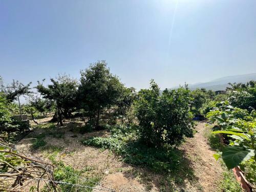 Casa Cueva Con Barbacoa, Wifi Y Vista