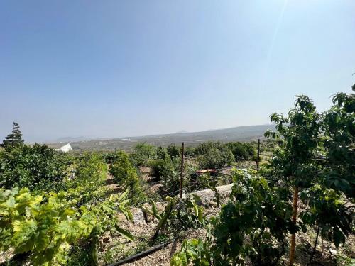 Casa Cueva Con Barbacoa, Wifi Y Vista