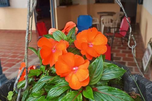 Rionegro Casa Campestre El Escampadero
