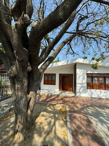 Hostal Calipso Dive And Pet Center