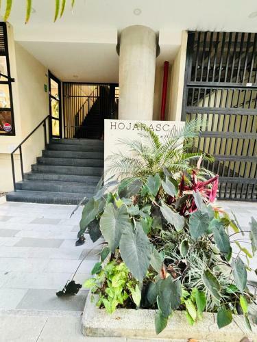 Apartamento Laureles Loft W Balcony