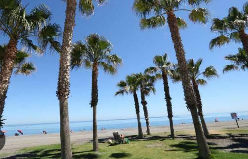 Apartamento Estudio En Torre Del Mar