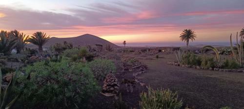 Agroturismo Casa Jard�n De Tiagua