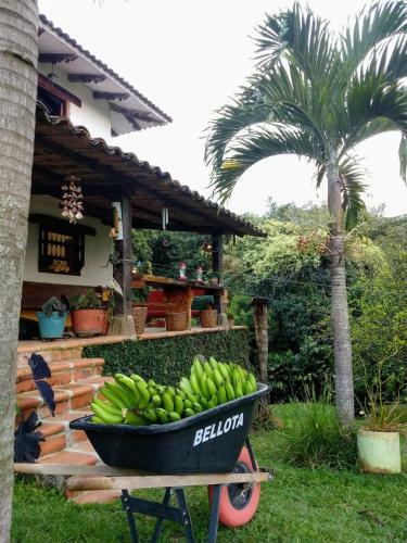 La Villa The View