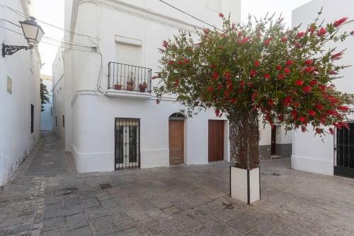 Apartamento La Esquinita