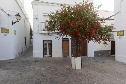 Apartamento La Esquinita