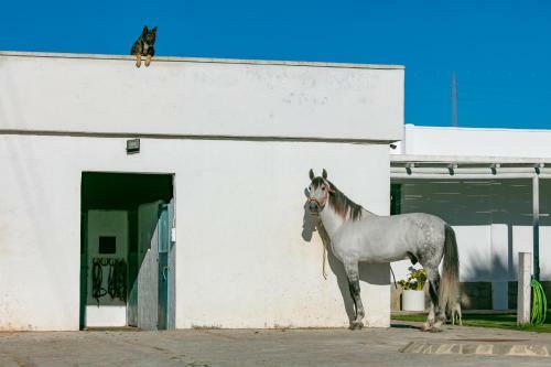 Apartamento Casa Rural La Vega 2 En Tarifa