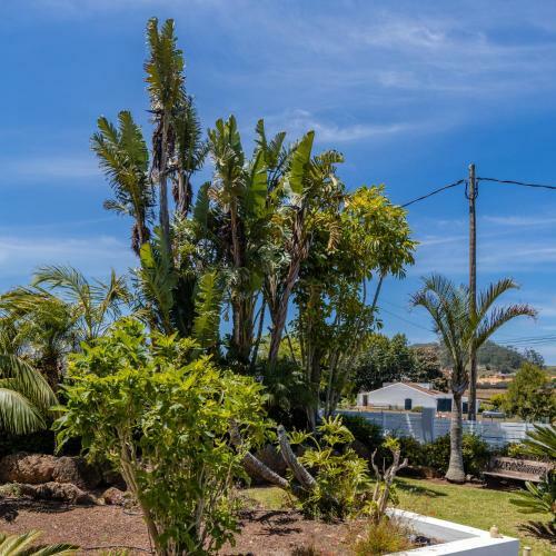 Bonita Casa Con Jacuzzi Y Vistas Al Teide
