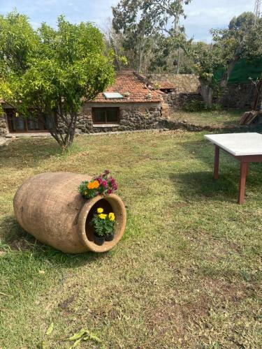 Rural House To Take A Break, La Serreria 25