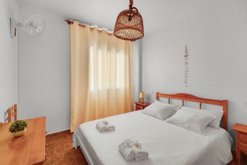 A Spacious And Cozy Apartment.