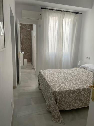 Apartamento Piso A 60 Metros De La Catedral
