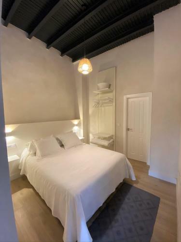 Casa Casco Hist�rico