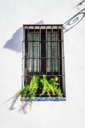 Casa Del Siglo XVII