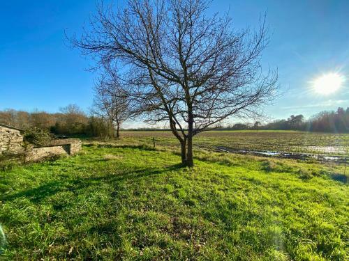 Bed & Breakfast Le Domaine Du Chalonge