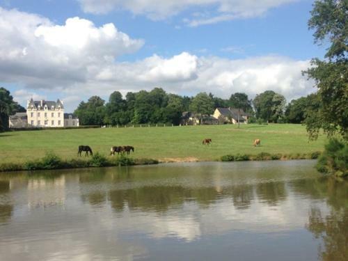 Bed & Breakfast Le Domaine Du Chalonge