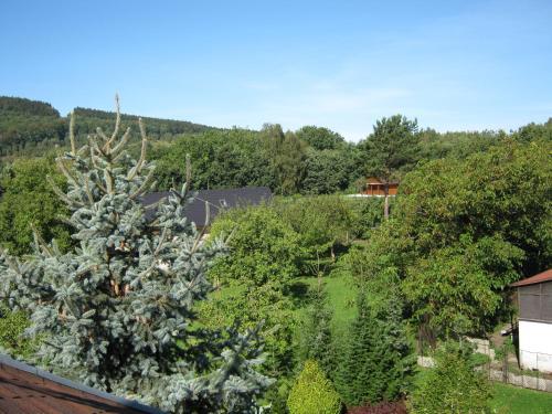 Hostal Privat Apartma Ulrych