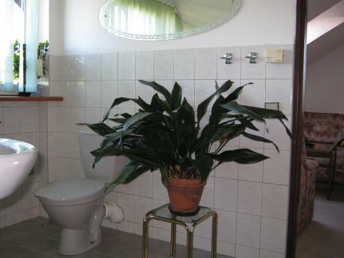 Hostal Privat Apartma Ulrych