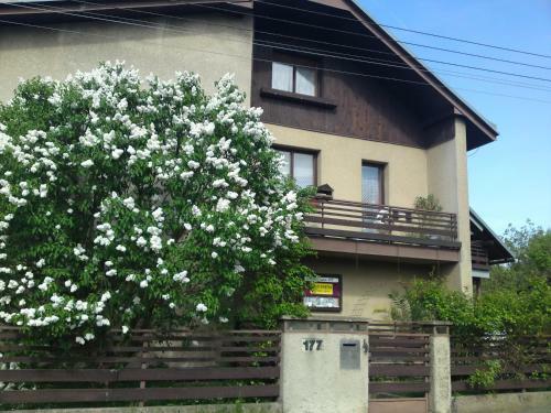 Hostal Privat Apartma Ulrych
