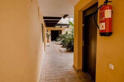 Apartamento Corral Del Horno Central Oasis