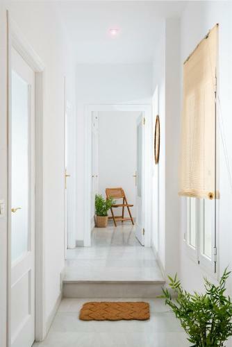 Apartamento Alohamundi Francos