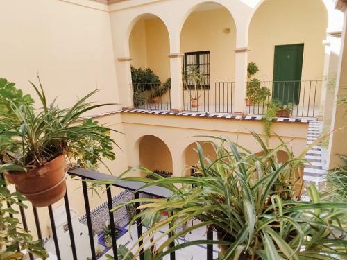 Bright Apartment At Santa Cruz 4 Pax, Parking Optional