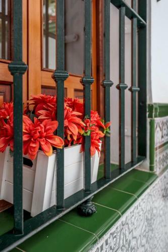 Apartamento Estudio Calle Ba�os