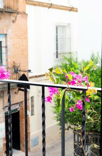 Apartamento Tourist House Santa Cruz