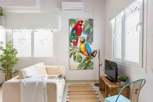 Monkeys Apartments Pinoloft Nuevo Torneo